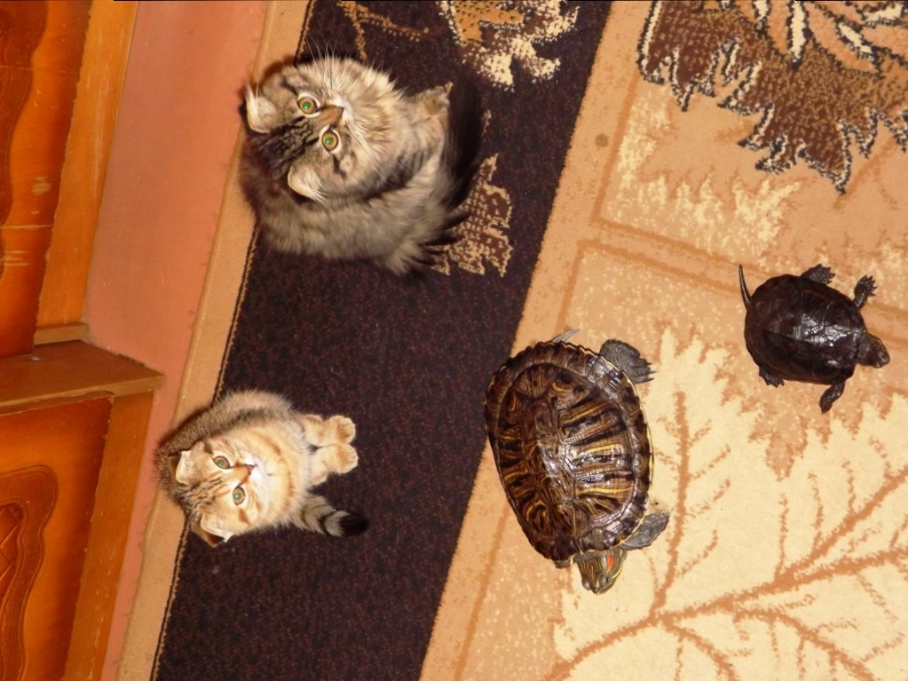DSCF8873.JPG