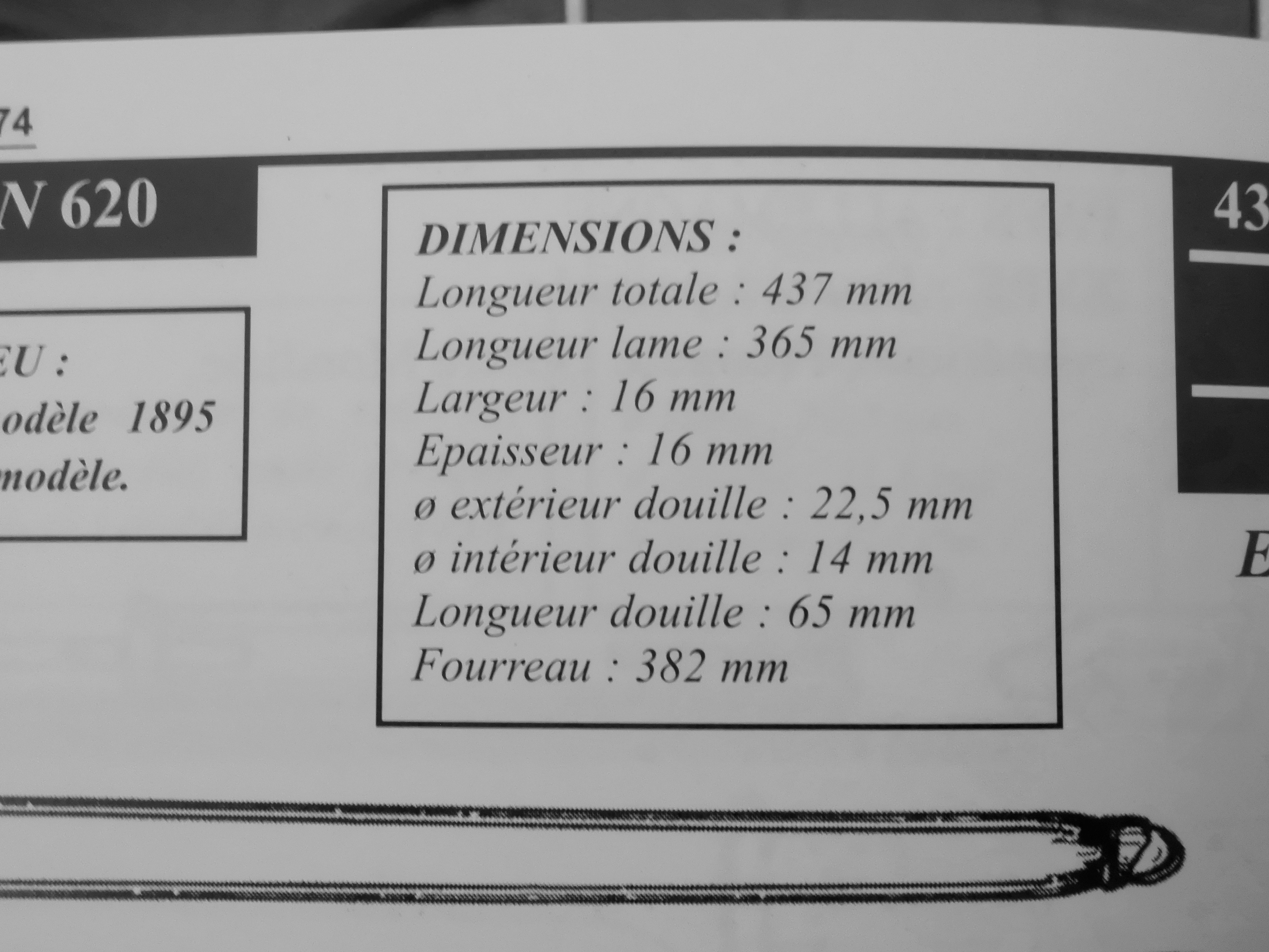DSCI0110.jpg