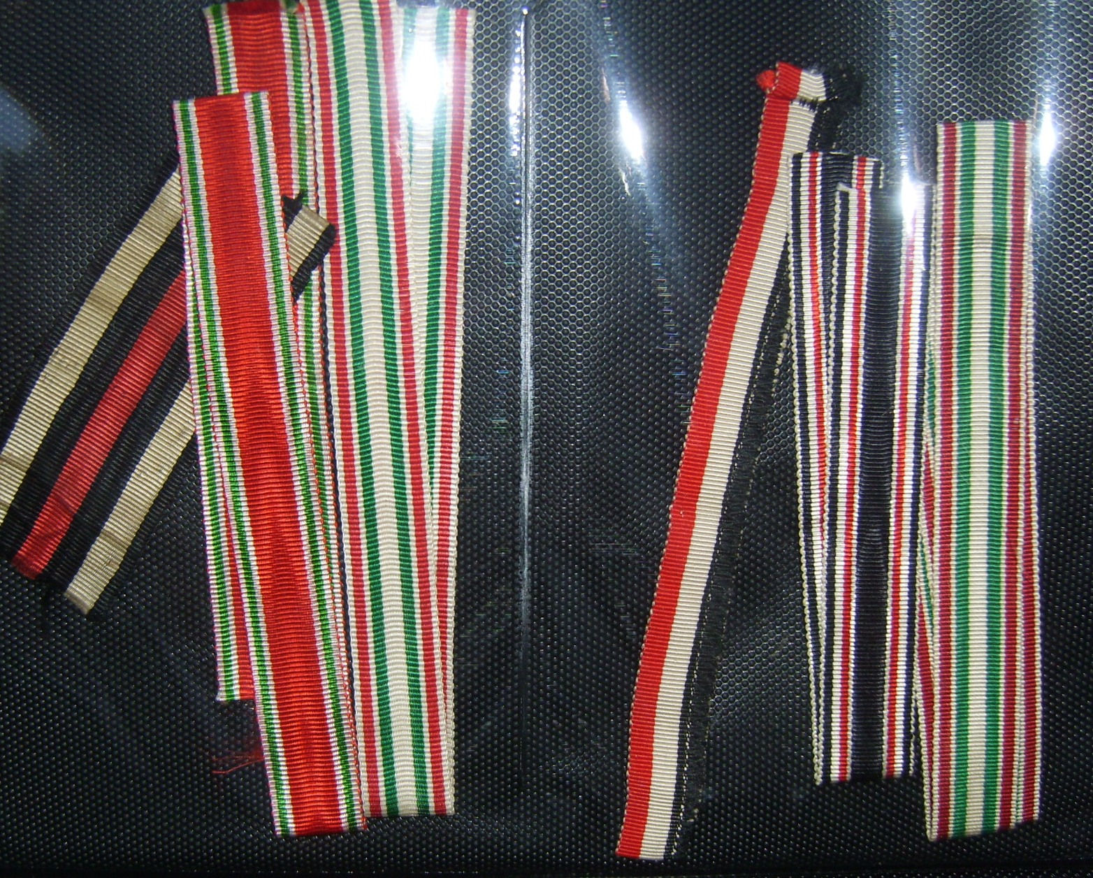 DSCI5387.JPG
