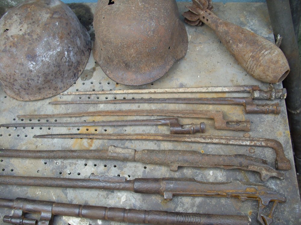 DSCI5581.JPG