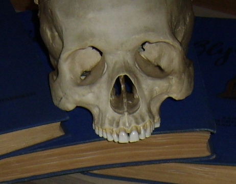 DSCI8723 - Kopie.JPG