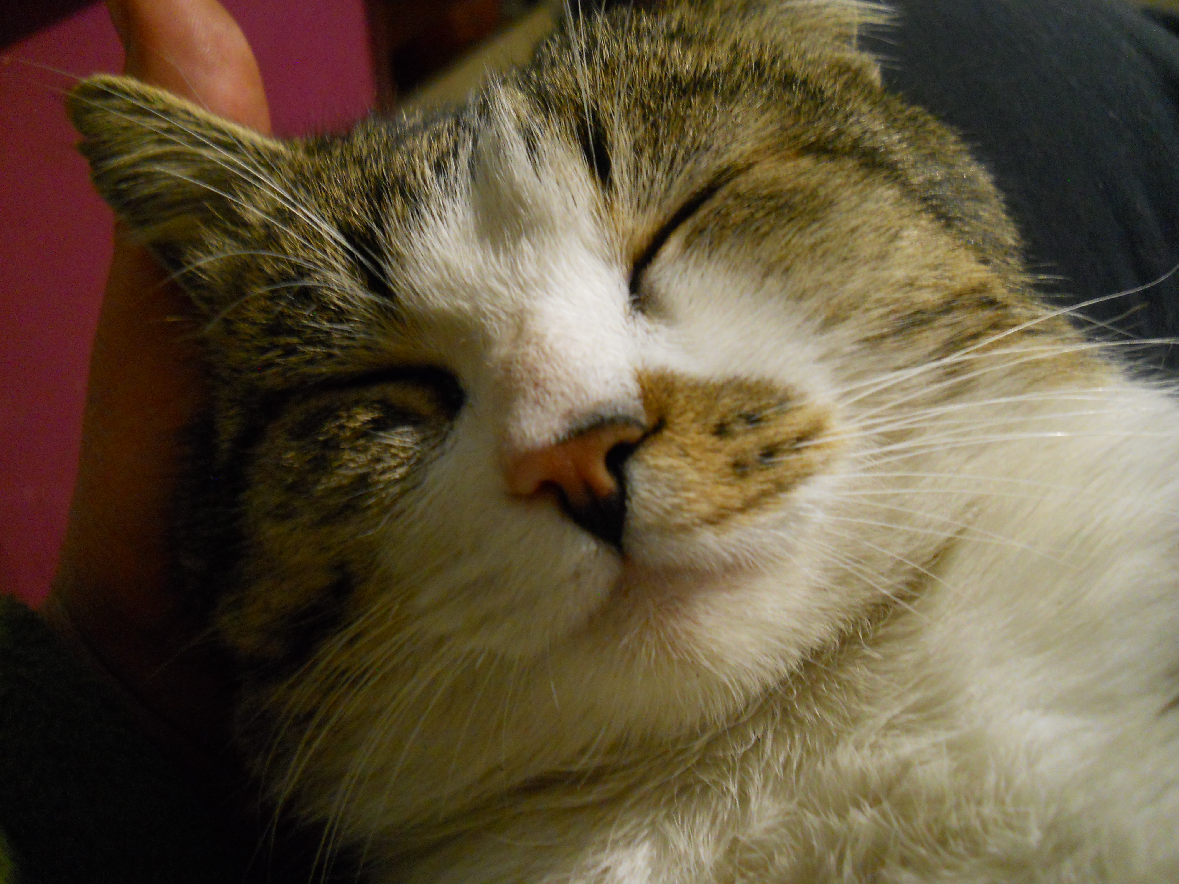DSCN0090.JPG
