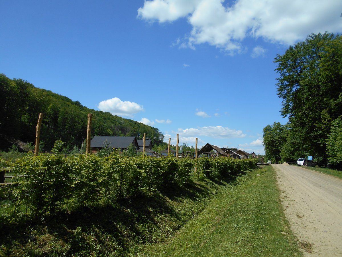 DSCN0090.JPG