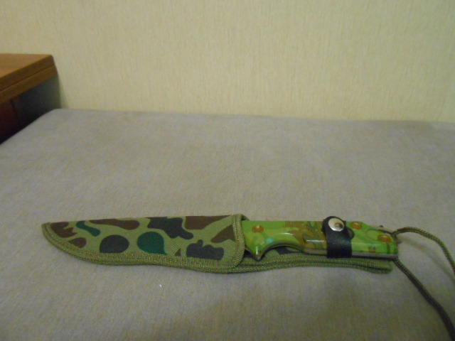 DSCN0095.JPG