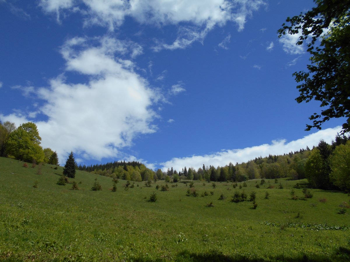 DSCN0117.JPG