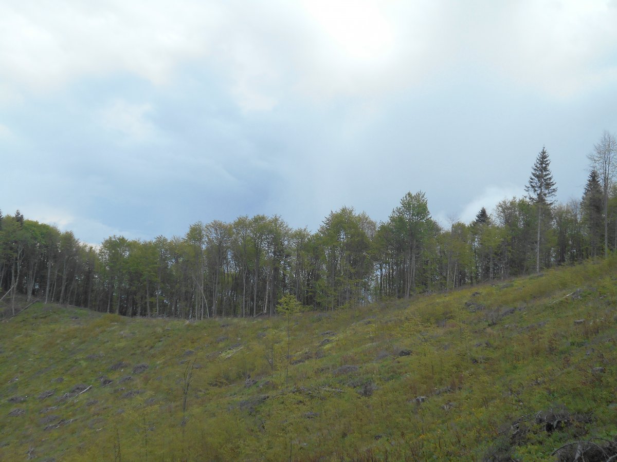 DSCN0128.JPG