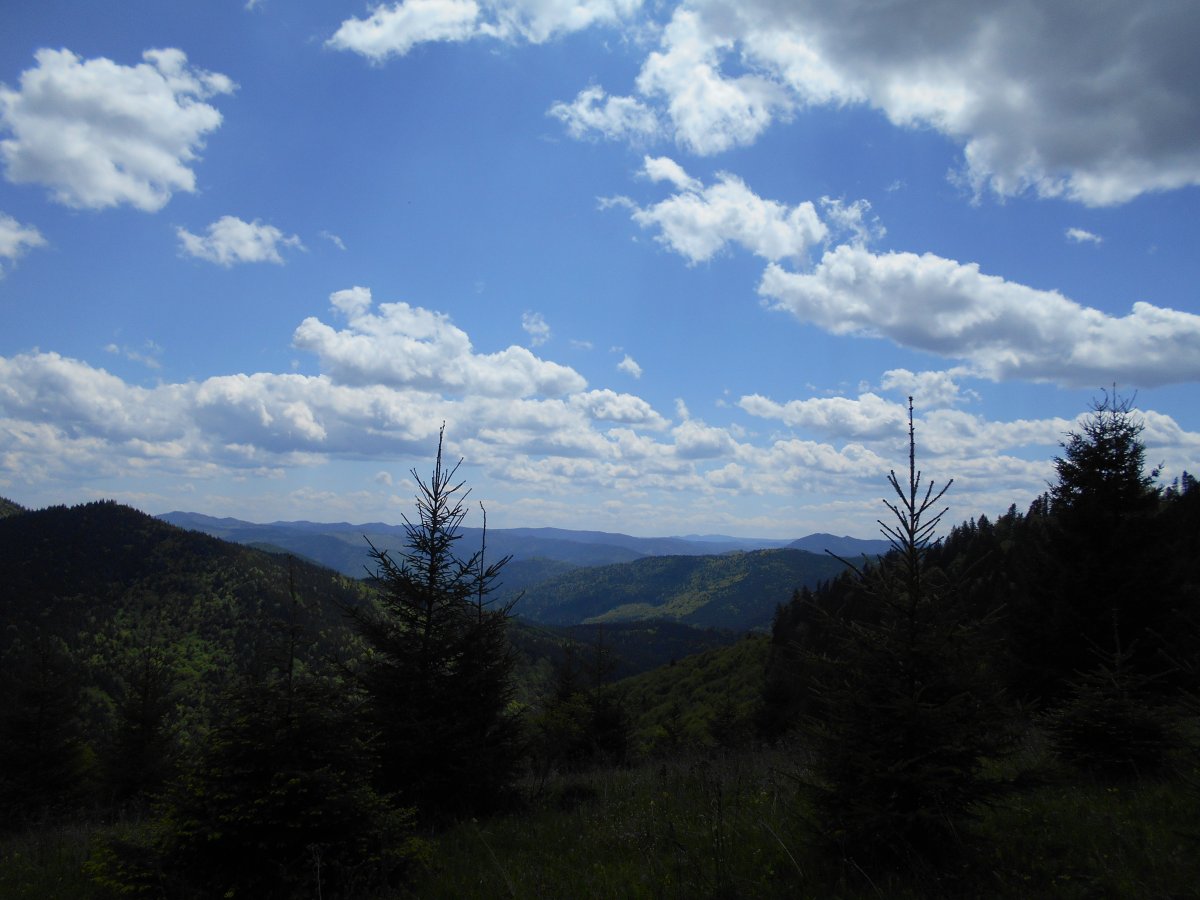 DSCN0135.JPG