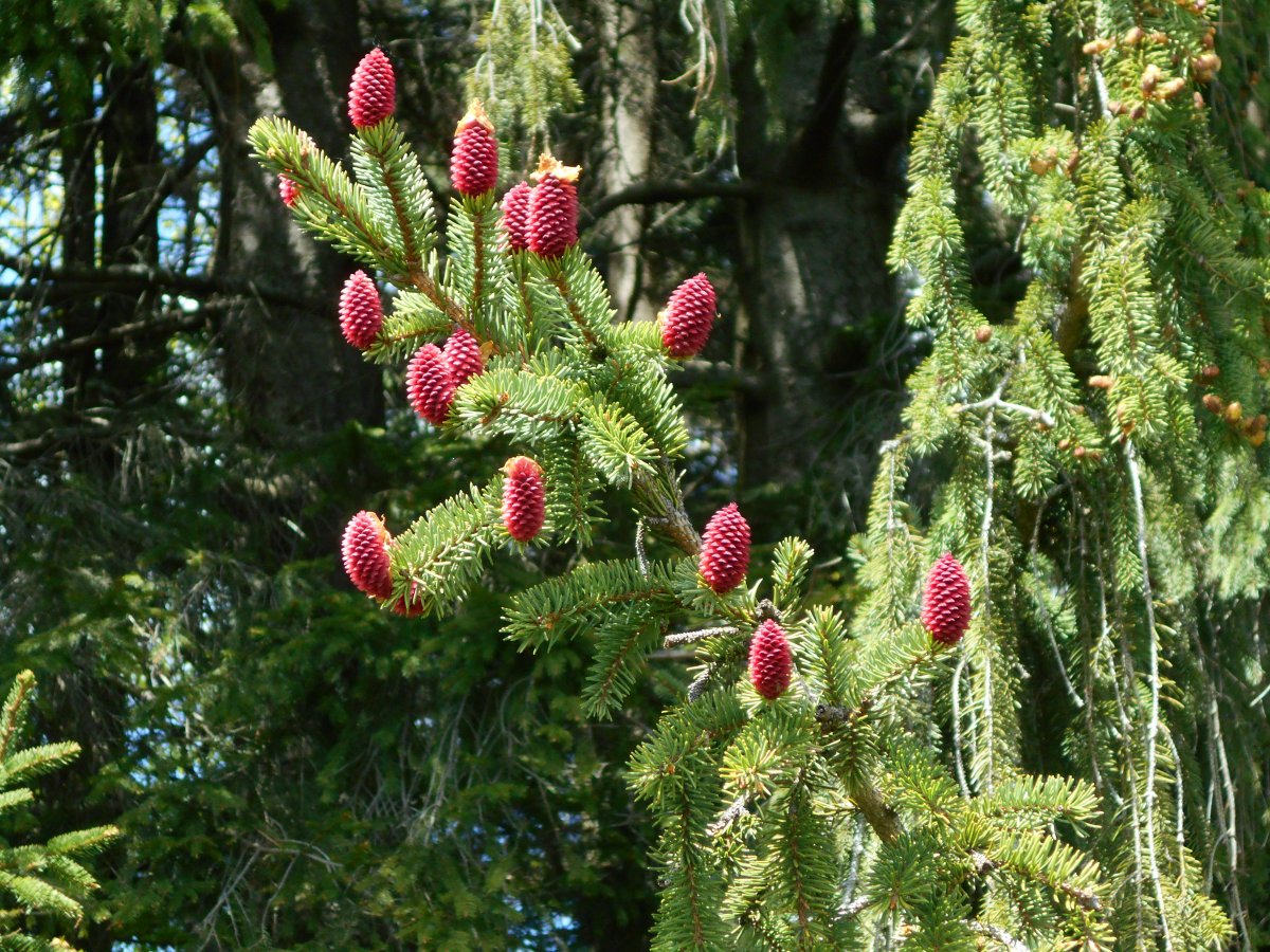 DSCN0138.JPG