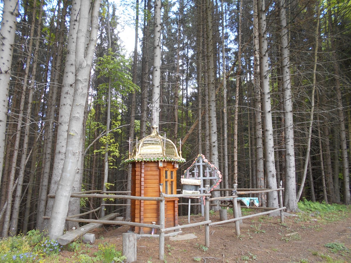 DSCN0148.JPG