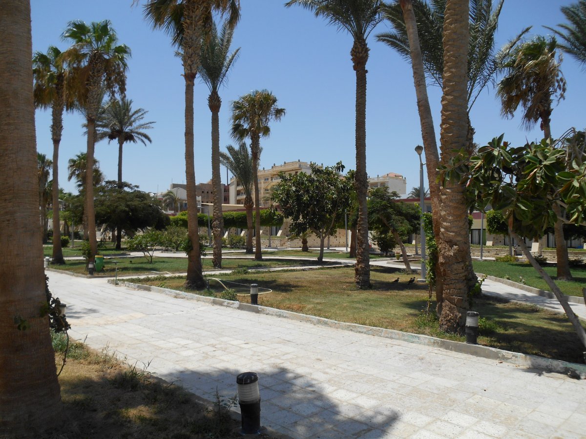 DSCN0167.JPG