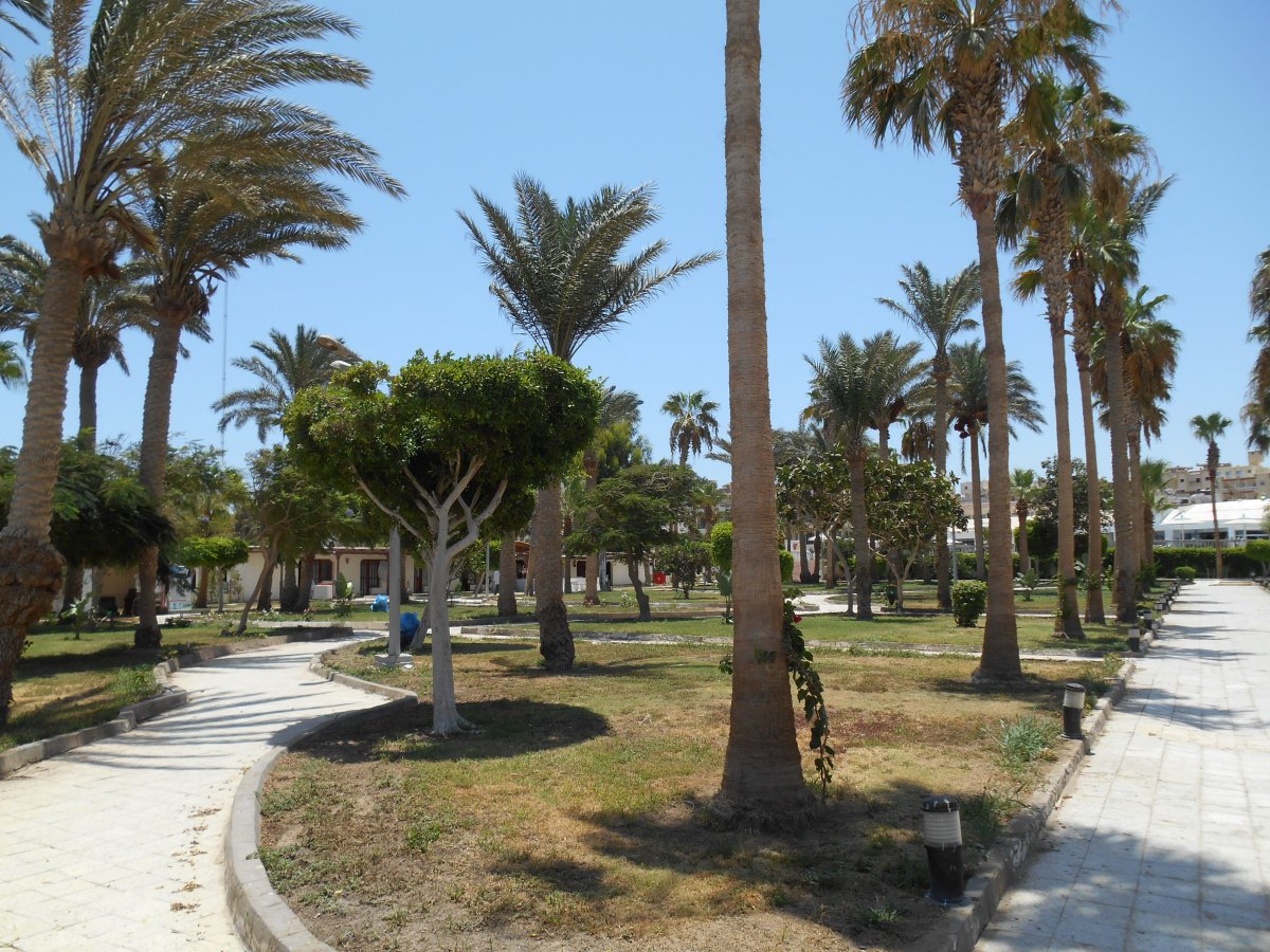 DSCN0168.JPG