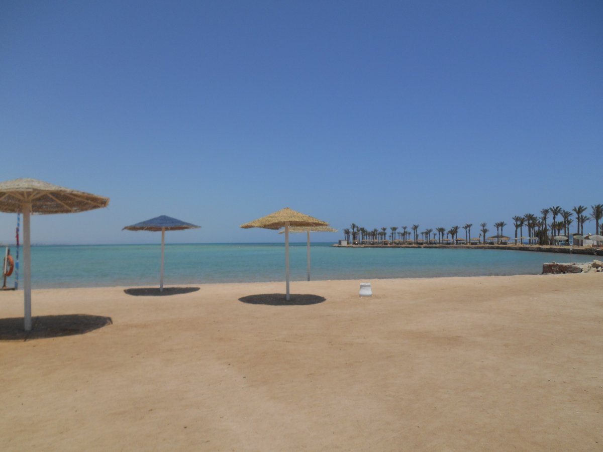 DSCN0170.JPG
