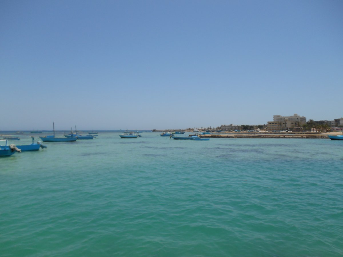DSCN0174.JPG