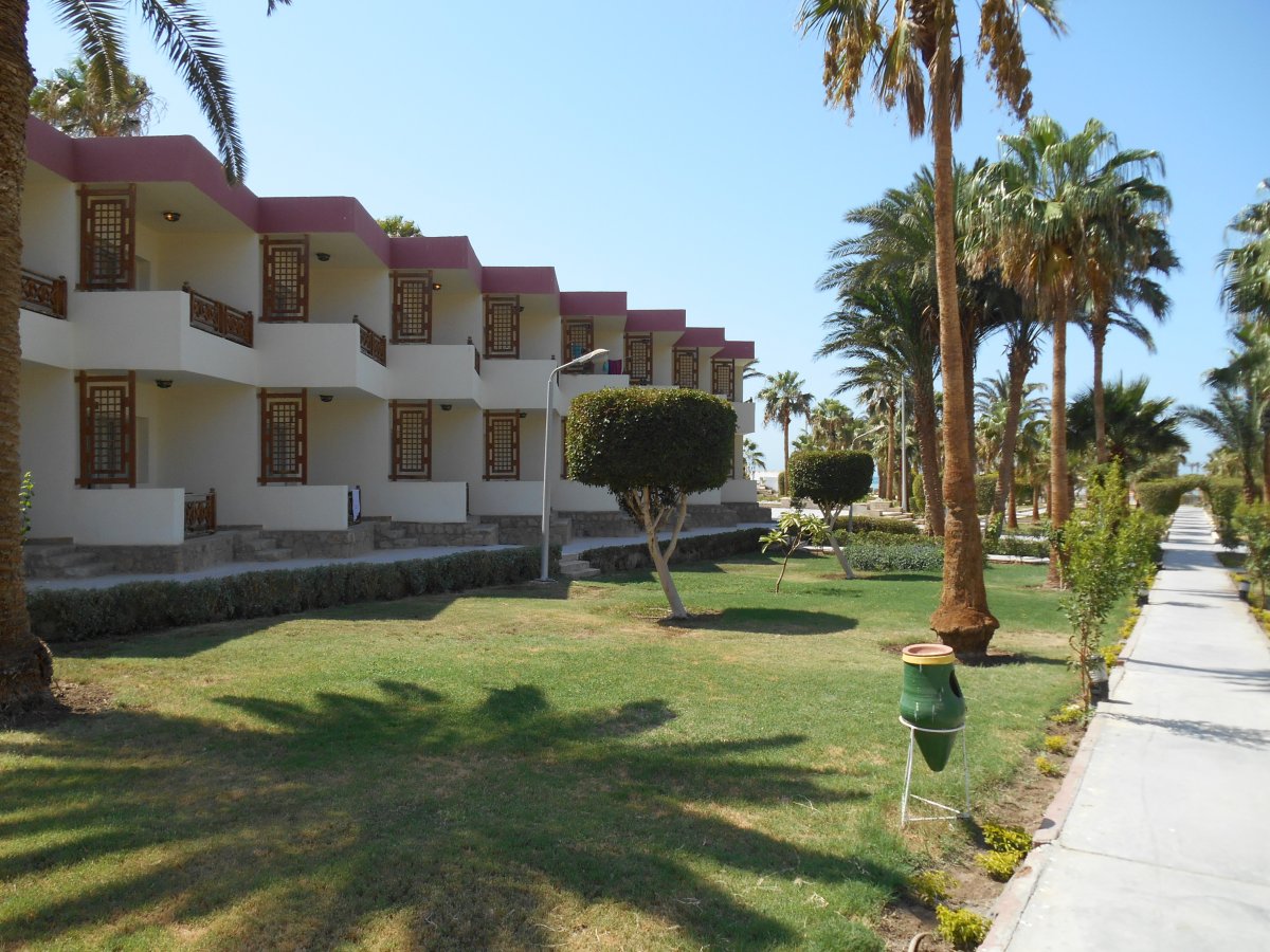 DSCN0182.JPG