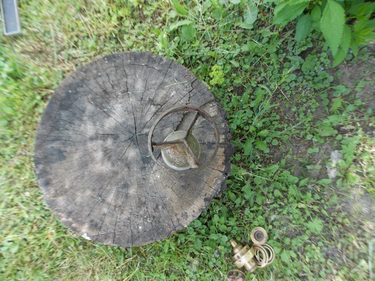 DSCN0185.JPG