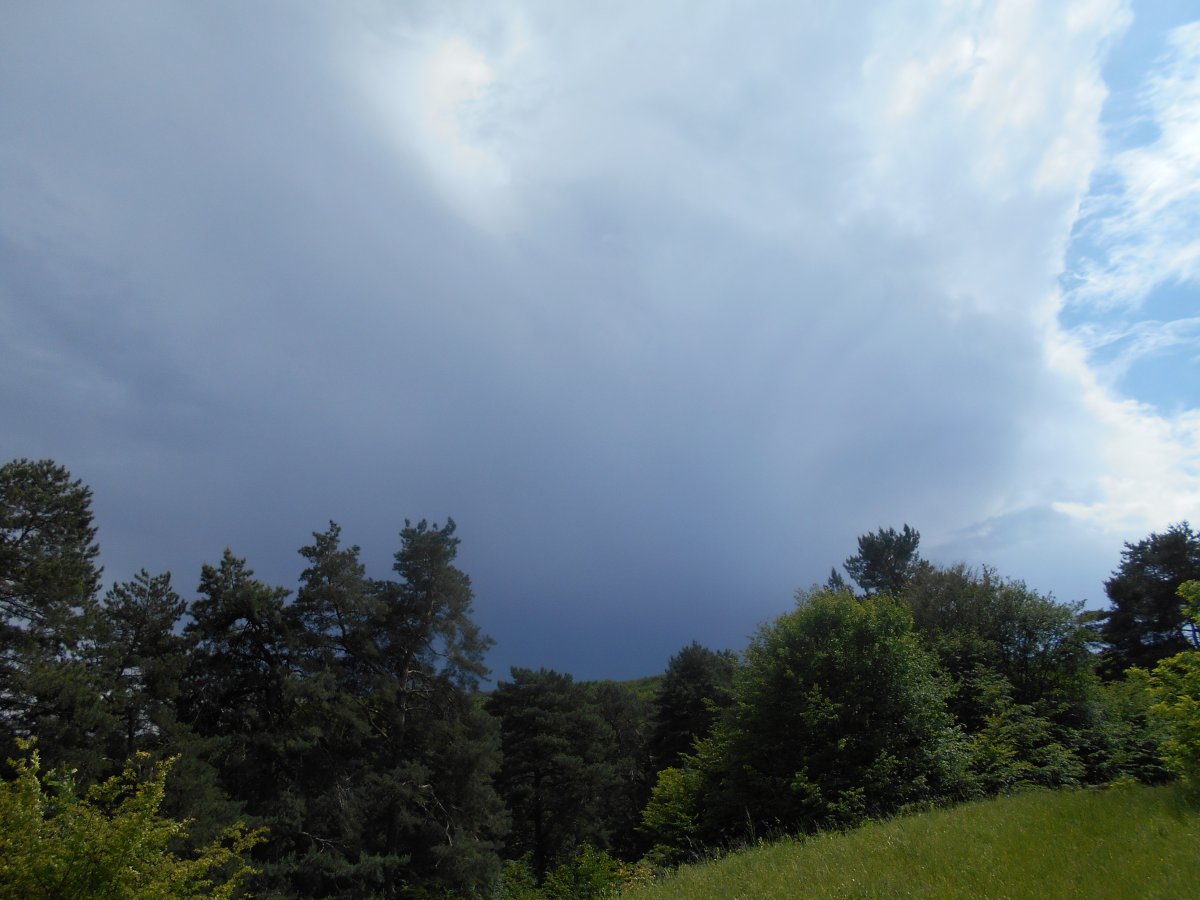 DSCN0221.JPG