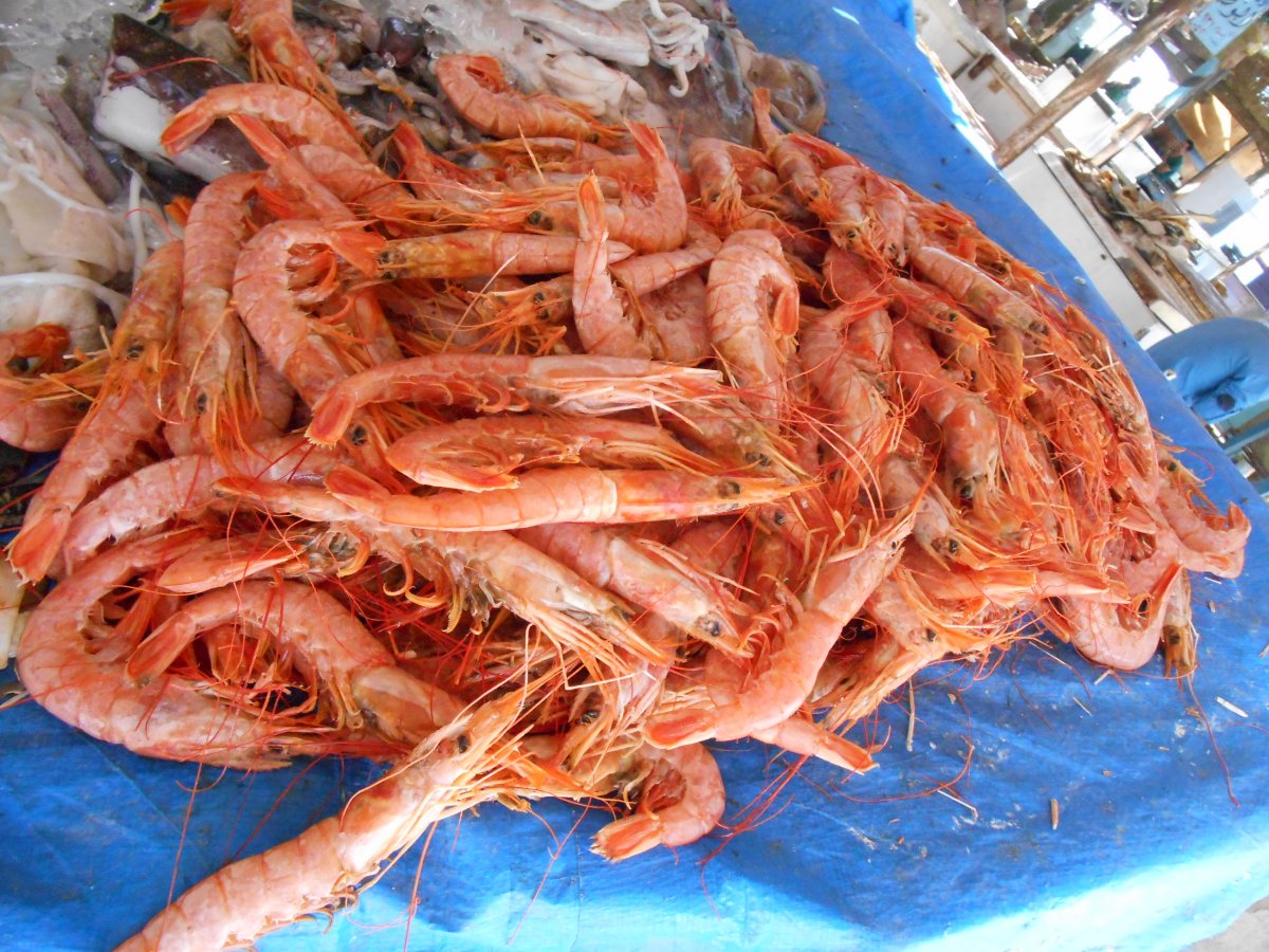 DSCN0222.JPG