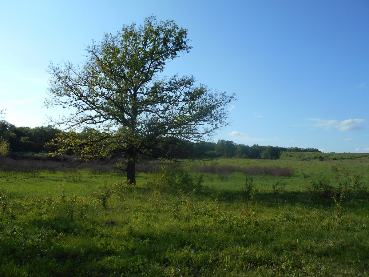 DSCN0243.JPG