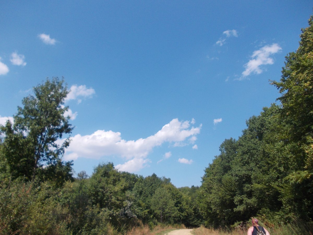 DSCN0245.JPG