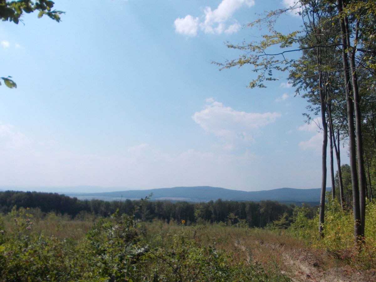 DSCN0249.JPG