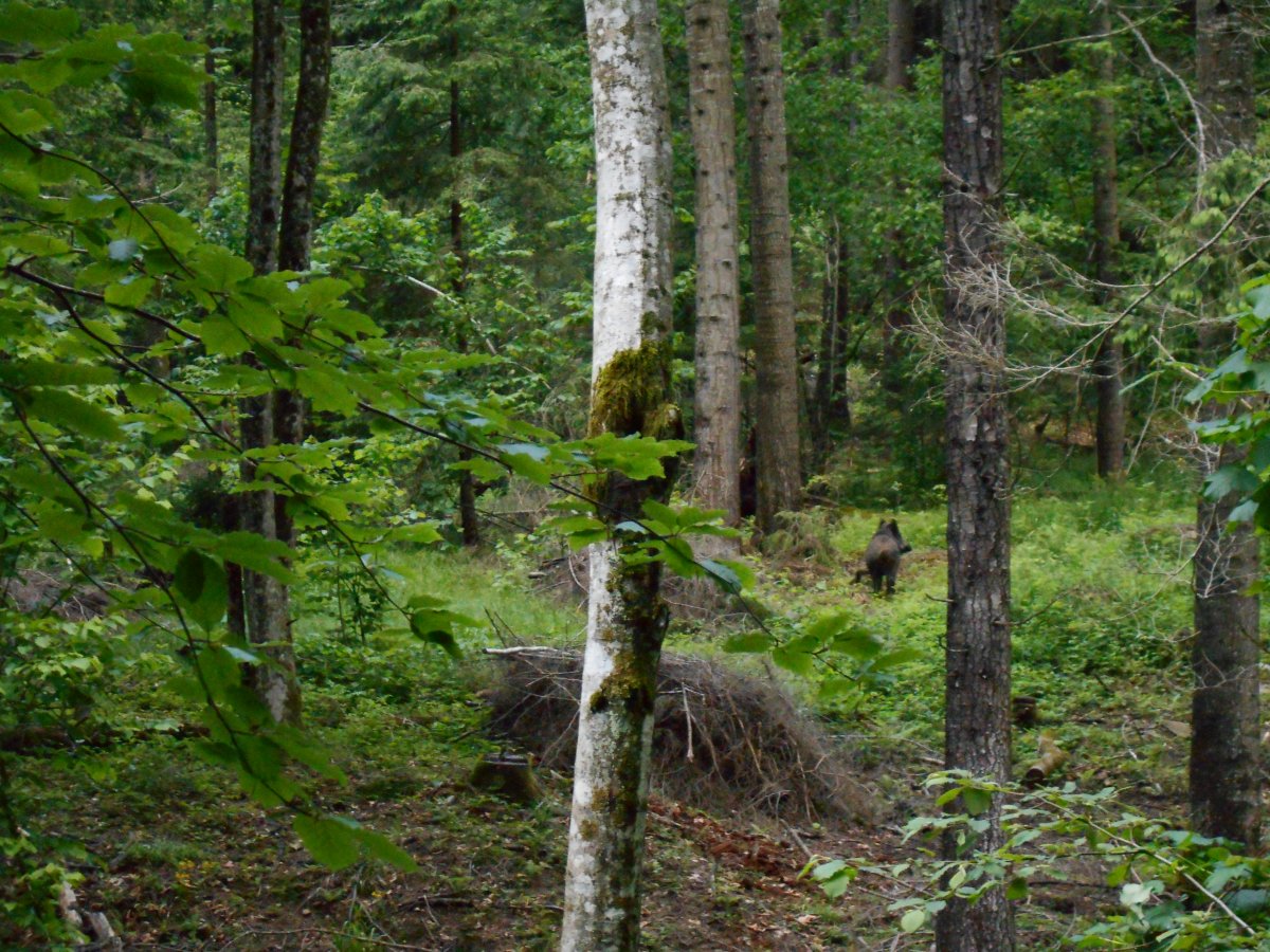 DSCN0256.JPG