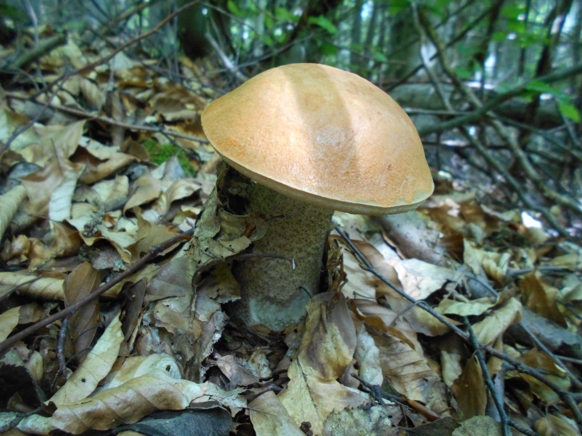 DSCN0259.JPG