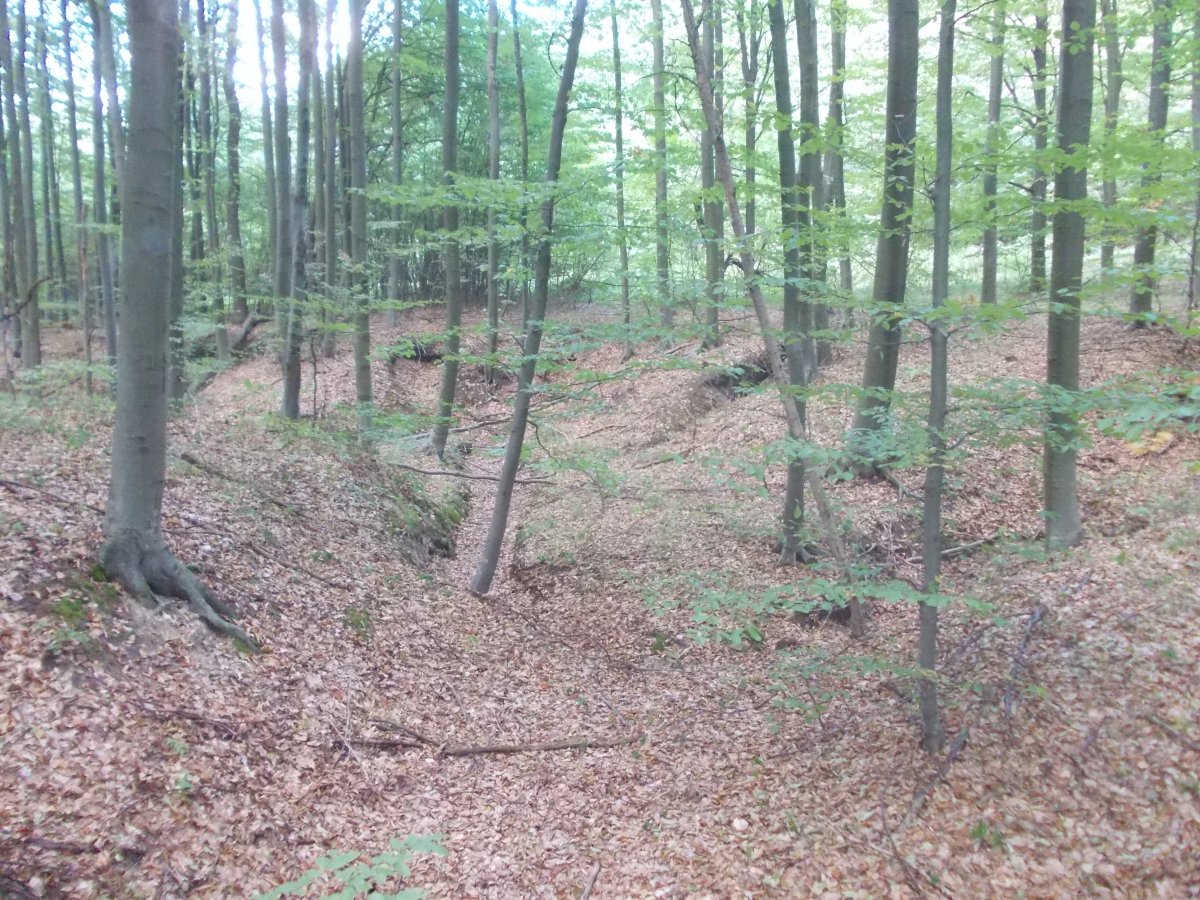 DSCN0271.JPG