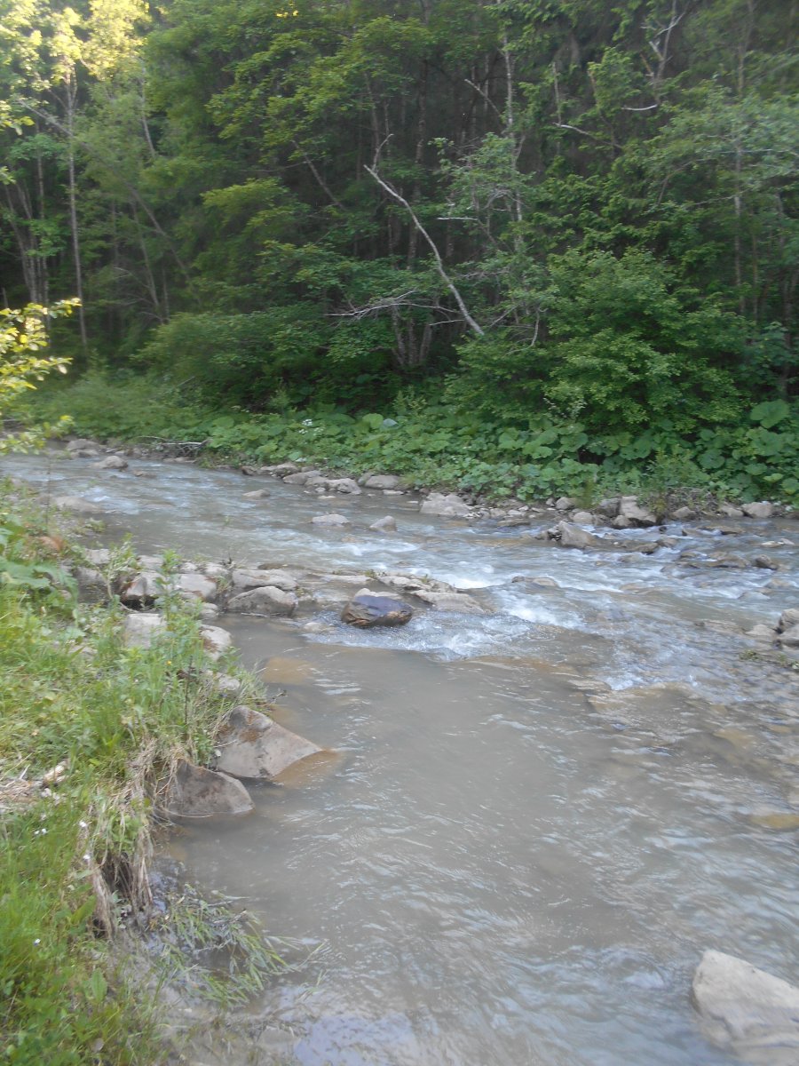 DSCN0301.JPG