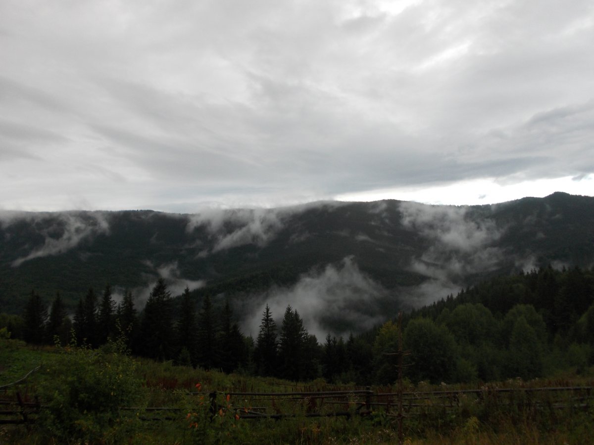 DSCN0318.JPG