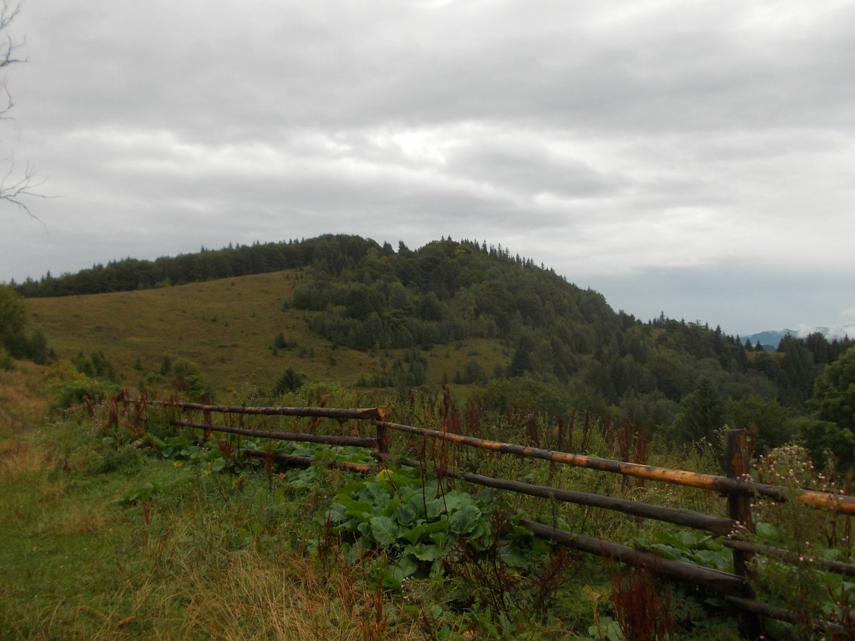 DSCN0319.JPG