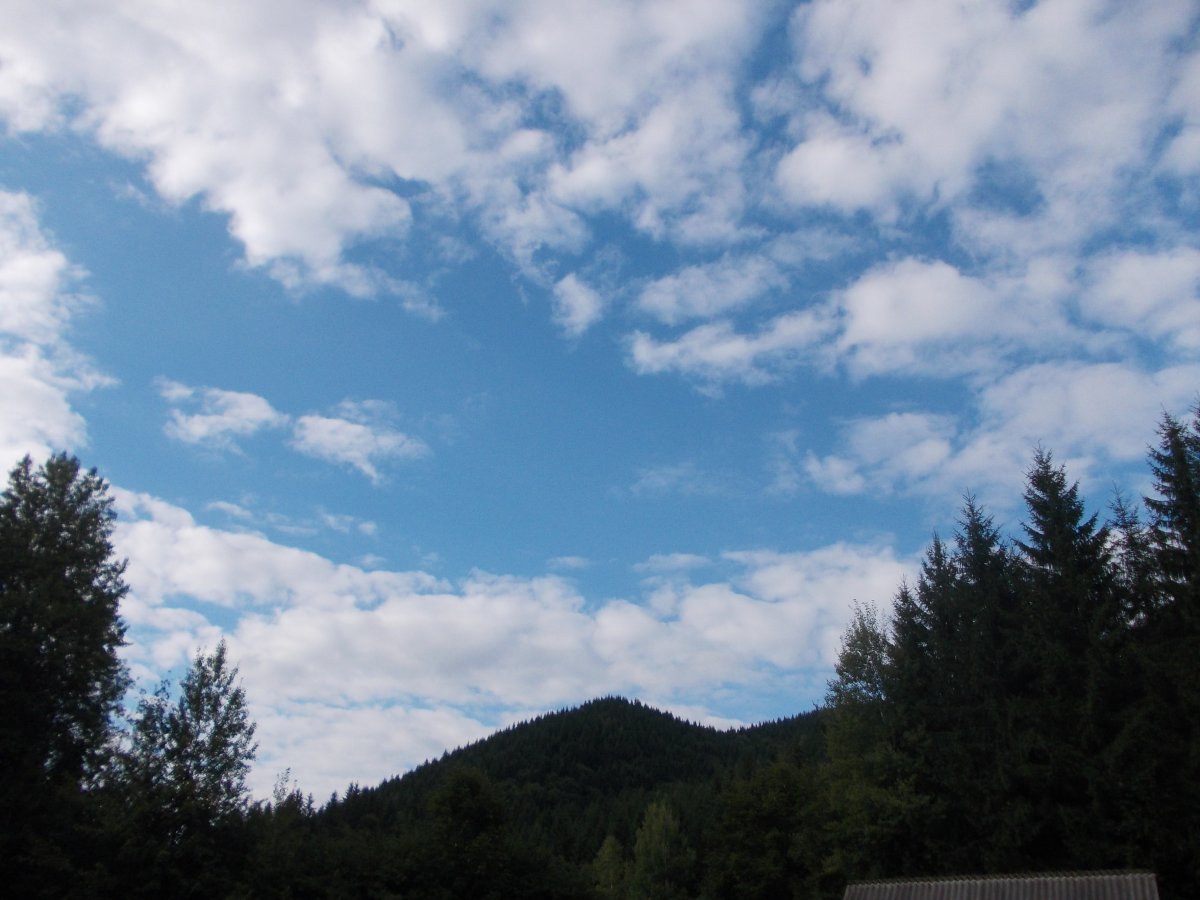 DSCN0338.JPG