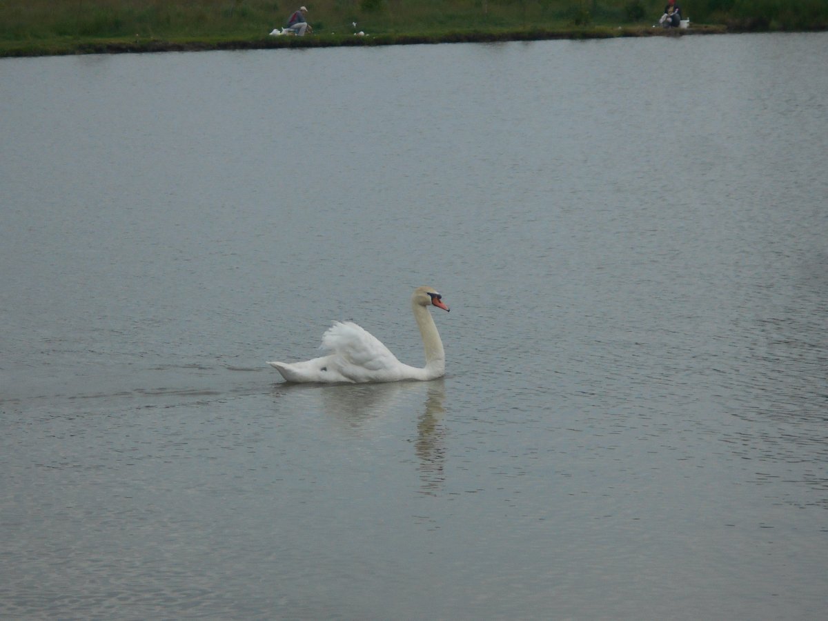 DSCN0343.JPG