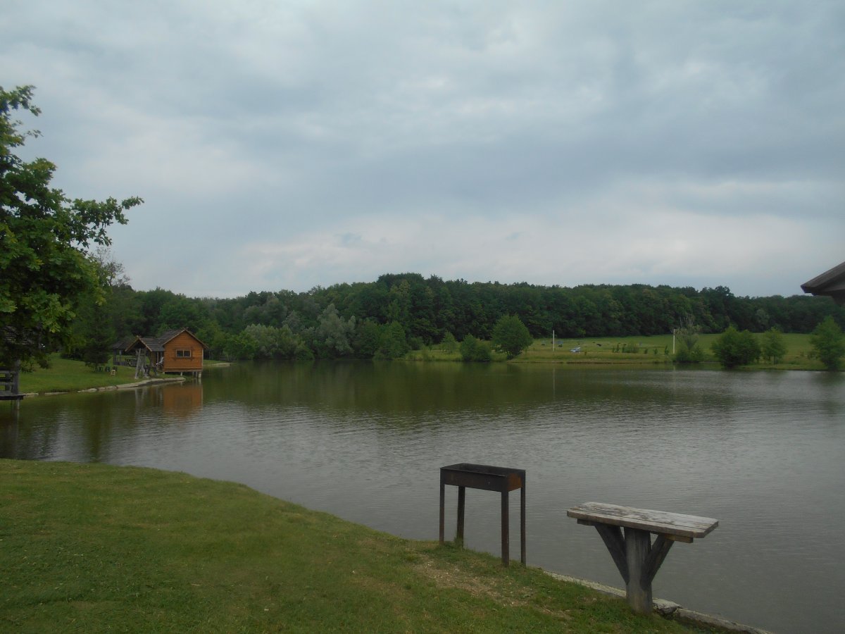 DSCN0346.JPG