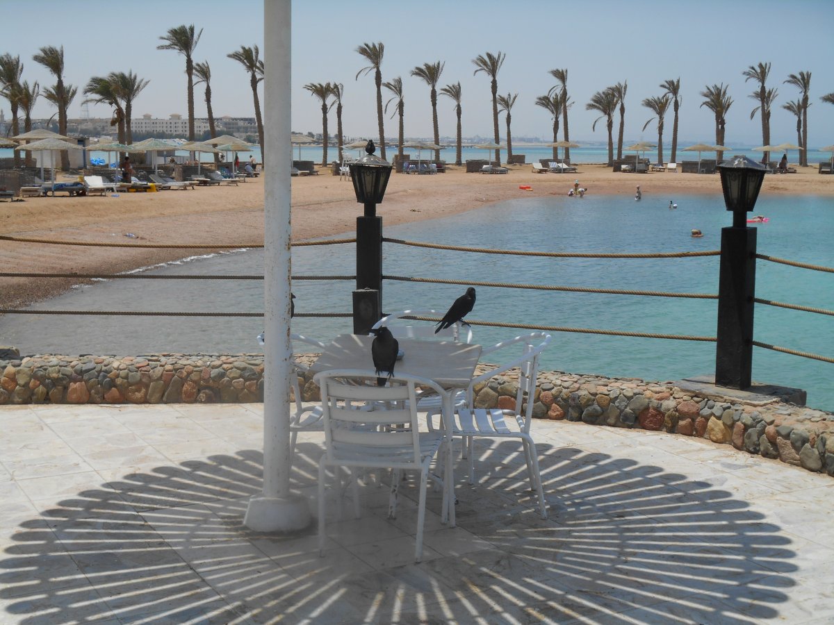 DSCN0351.JPG