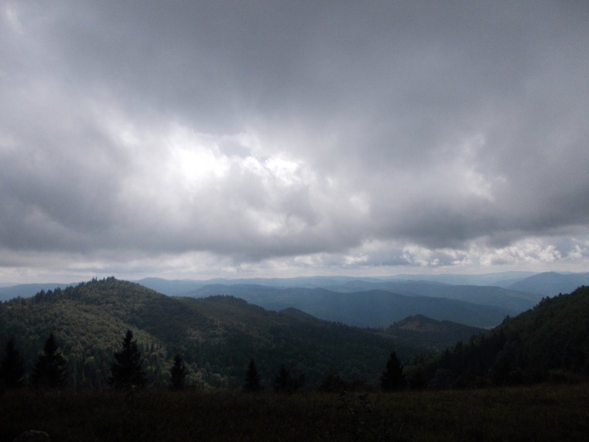 DSCN0361.JPG
