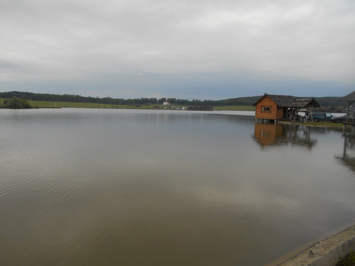 DSCN0366.JPG