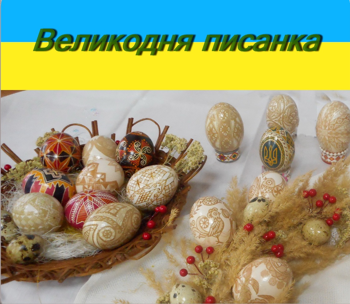 DSCN0367.jpg