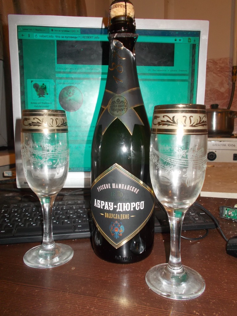 DSCN0382.JPG