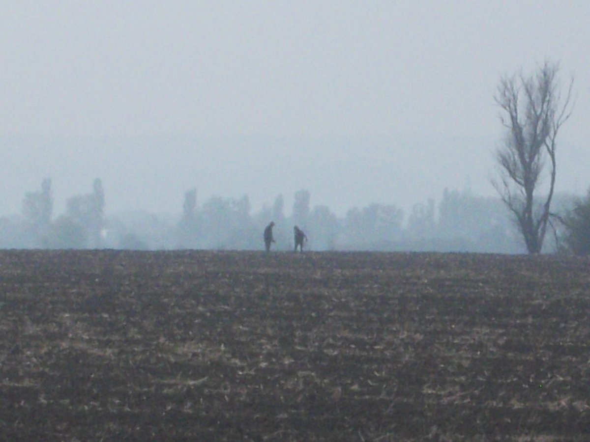 DSCN0385.JPG