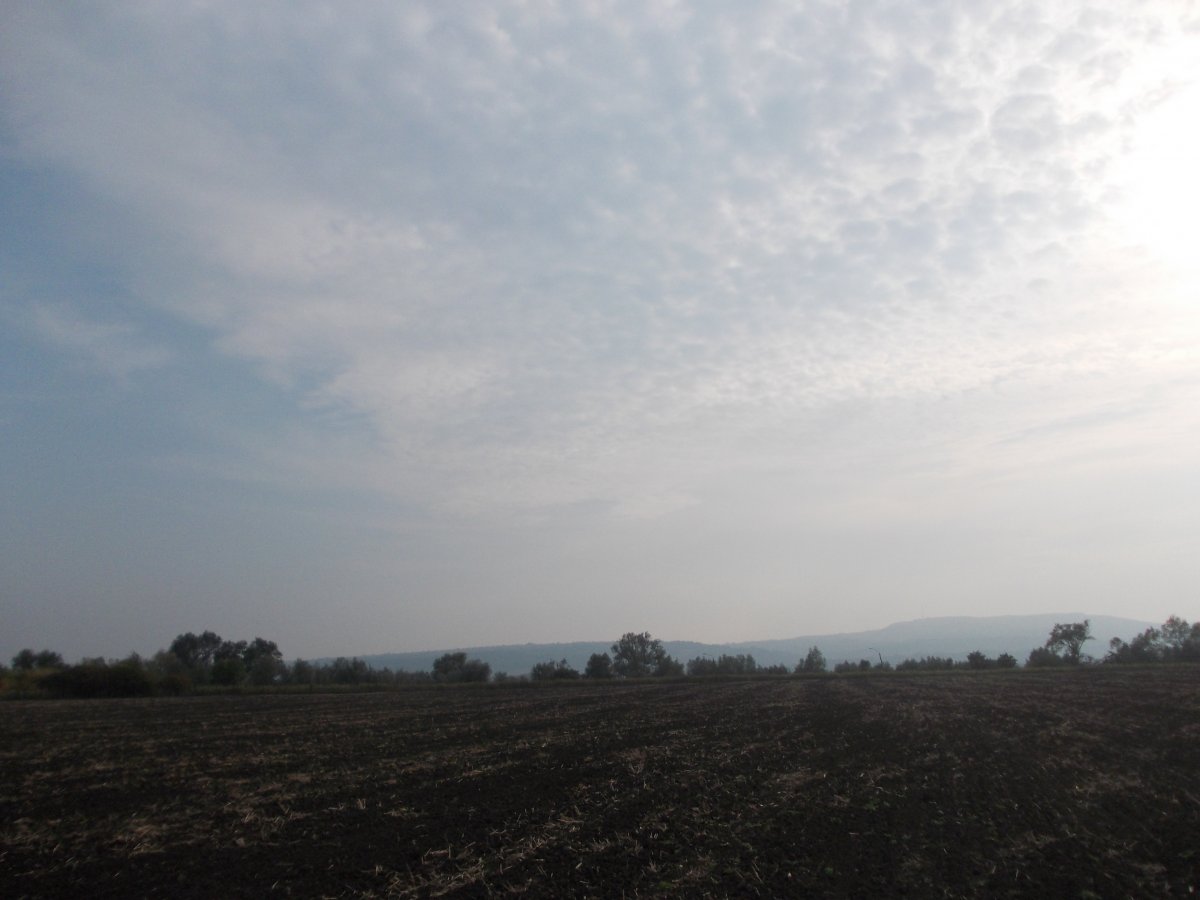 DSCN0393.JPG