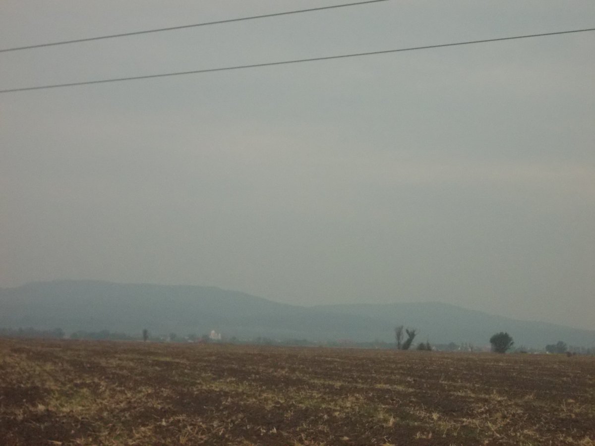 DSCN0395.JPG