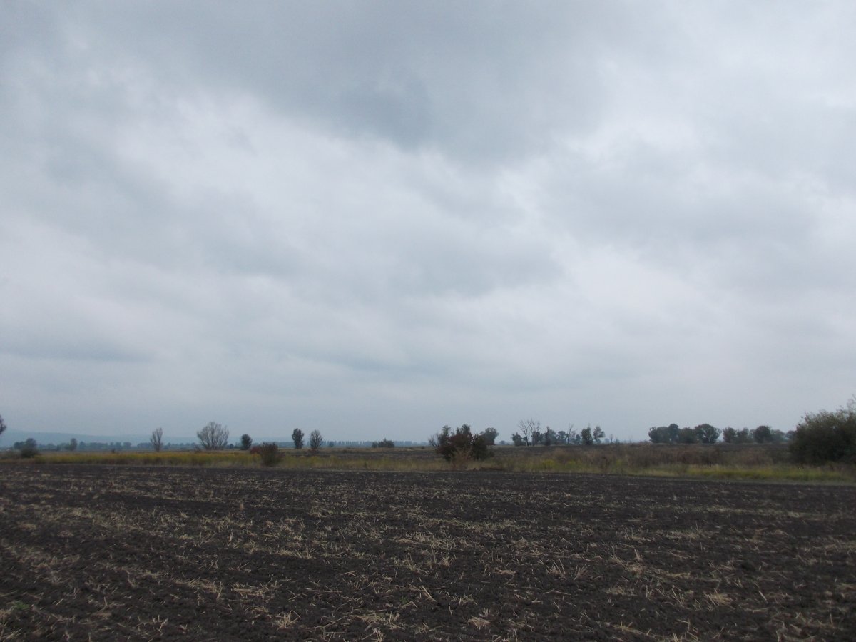 DSCN0415.JPG
