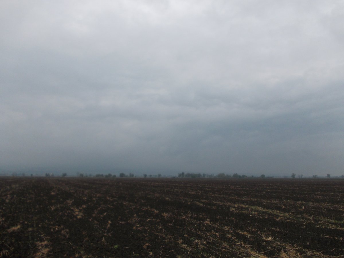 DSCN0416.JPG