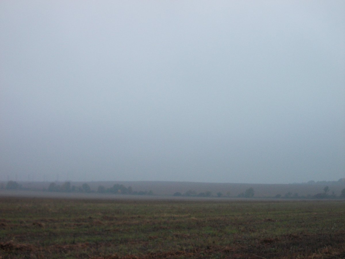 DSCN0471.JPG