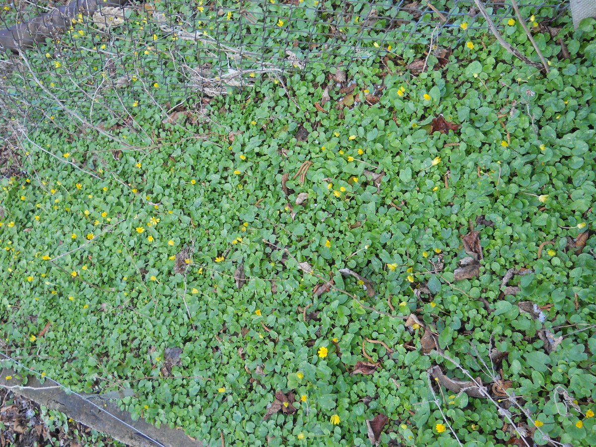 DSCN0476.JPG