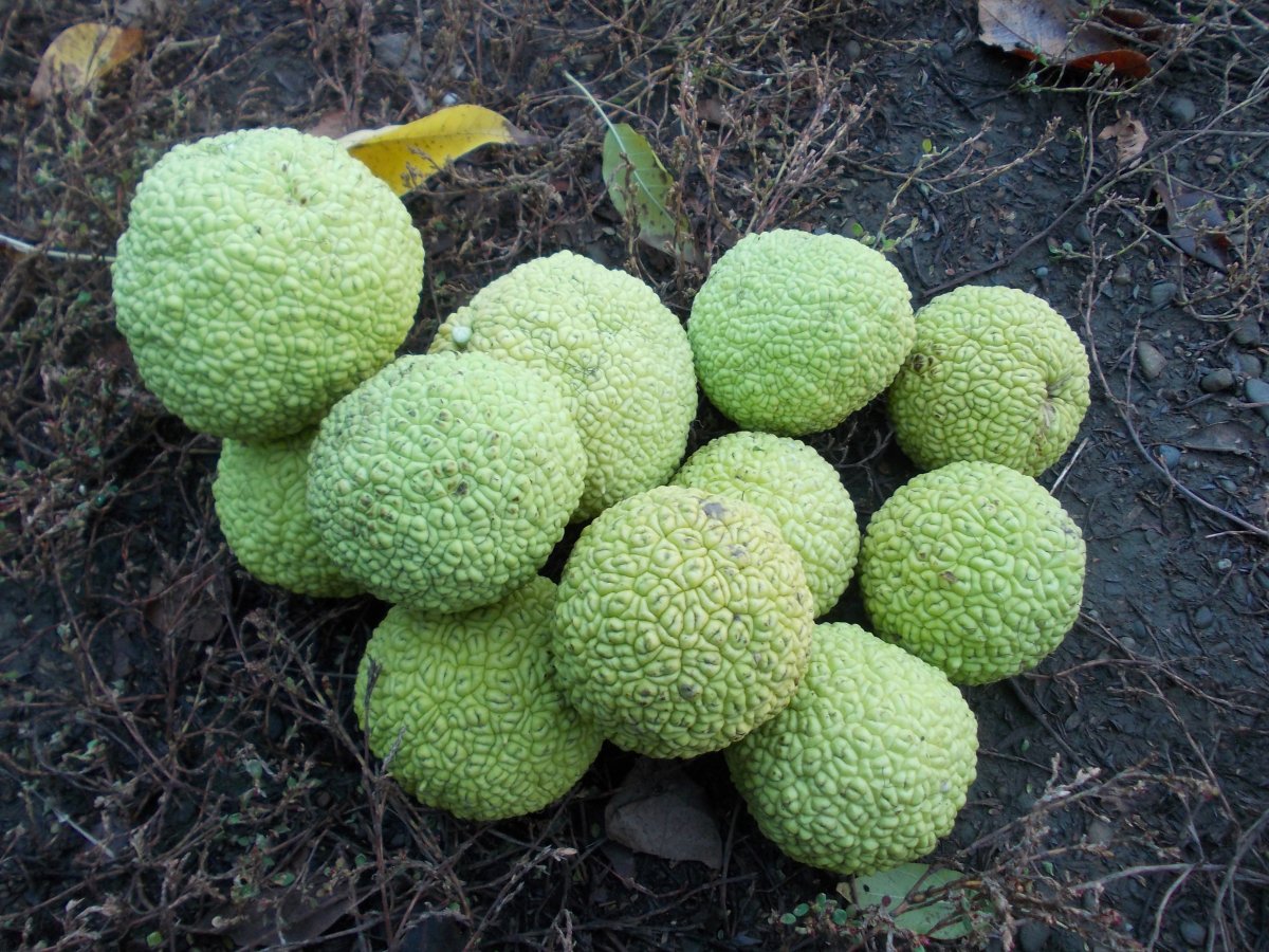 DSCN0477.JPG