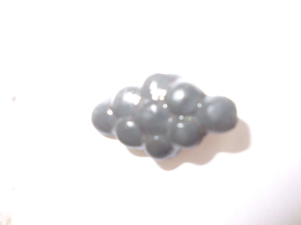 DSCN0483.JPG