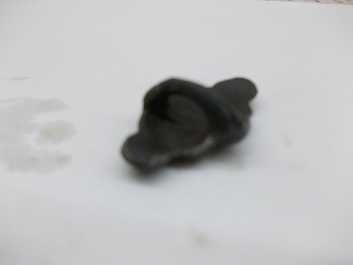DSCN0484.JPG