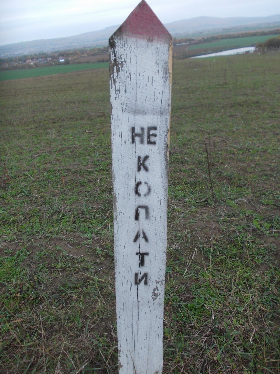 DSCN0502.JPG