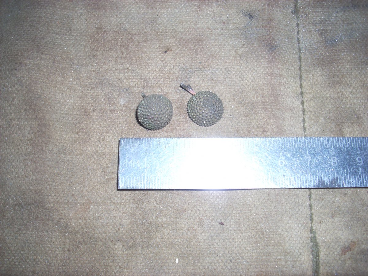 DSCN0505.JPG